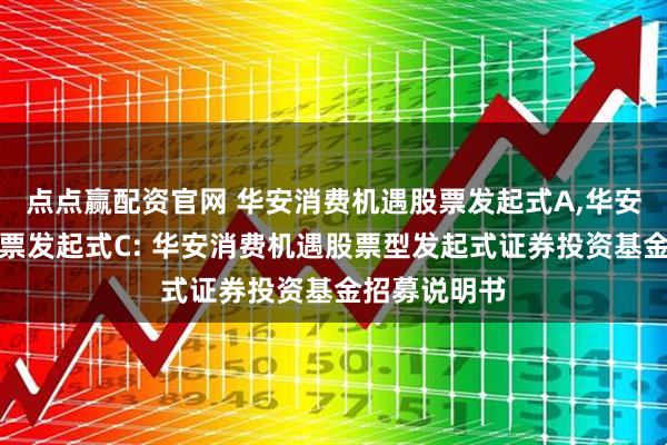 点点赢配资官网 华安消费机遇股票发起式A,华安消费机遇股票发起式C: 华安消费机遇股票型发起式证券投资基金招募说明书