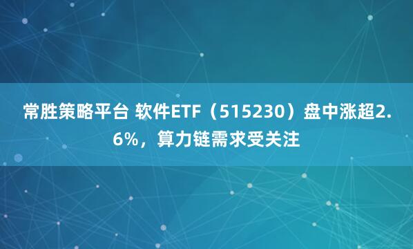 常胜策略平台 软件ETF（515230）盘中涨超2.6%，算力链需求受关注