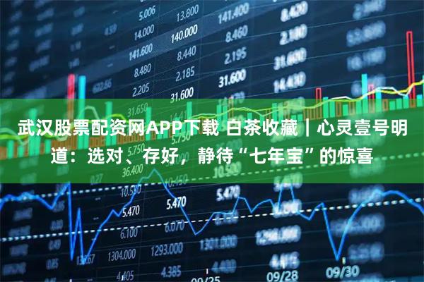 武汉股票配资网APP下载 白茶收藏｜心灵壹号明道：选对、存好，静待“七年宝”的惊喜