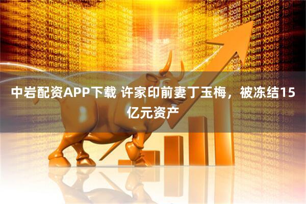中岩配资APP下载 许家印前妻丁玉梅，被冻结15亿元资产