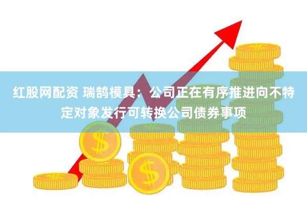 红股网配资 瑞鹄模具：公司正在有序推进向不特定对象发行可转换公司债券事项