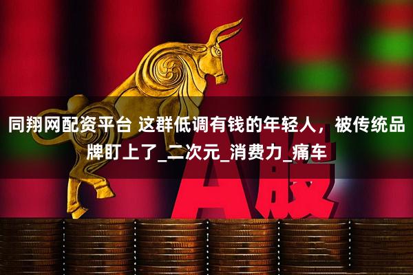 同翔网配资平台 这群低调有钱的年轻人，被传统品牌盯上了_二次元_消费力_痛车