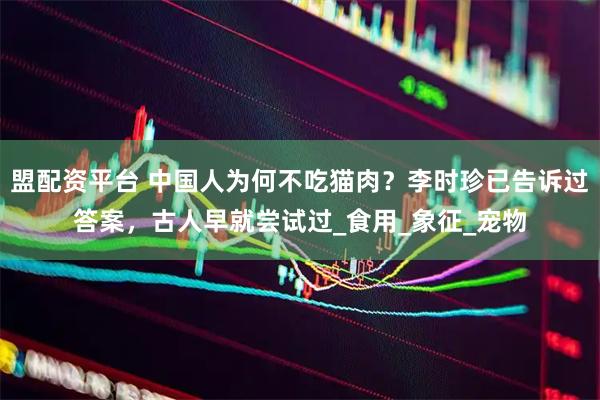 盟配资平台 中国人为何不吃猫肉？李时珍已告诉过答案，古人早就尝试过_食用_象征_宠物