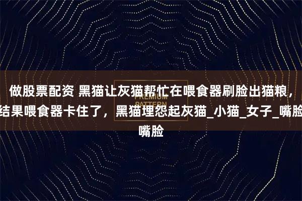 做股票配资 黑猫让灰猫帮忙在喂食器刷脸出猫粮，结果喂食器卡住了，黑猫埋怨起灰猫_小猫_女子_嘴脸