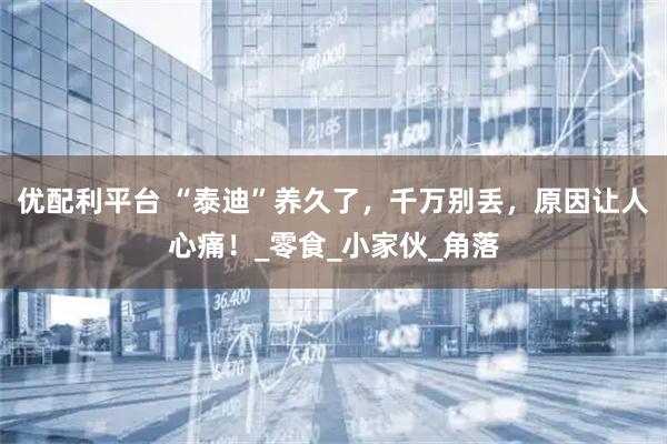 优配利平台 “泰迪”养久了，千万别丢，原因让人心痛！_零食_小家伙_角落